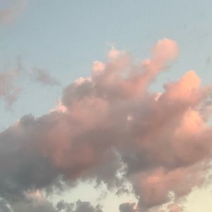 Meet your Posher, Nicholas